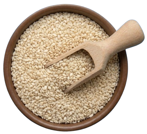 Semillas de Sésamo